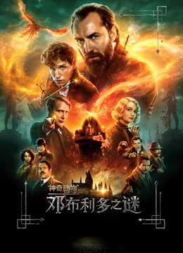 神奇动物：邓布利多之谜
